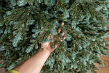 Ялинка штучна "Аляска" Зелено-Блакитна 1,80 м, фото 6