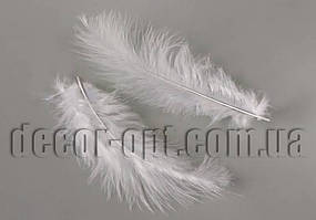 Пір'я лебедині білі 11-15 см 50 шт.