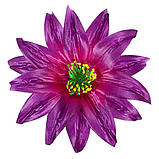 Крок гострий - Крокус гострий 2-й, 15 см, фото 8