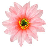 Крок гострий - Крокус гострий 2-й, 15 см, фото 9