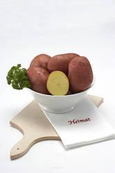 Беллароза насіннєва картопля І репродукція, 2,5кг Europlant