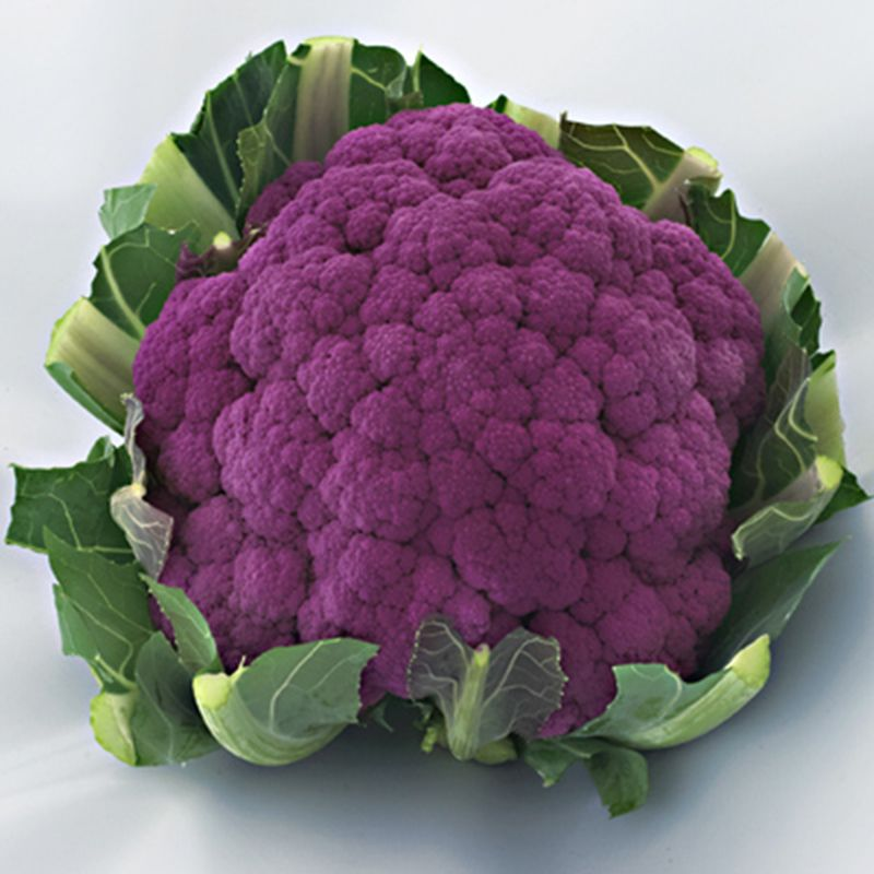 Насіння капуста кольорова Гаффіті 0,3г