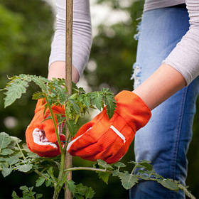 Опоры для растений