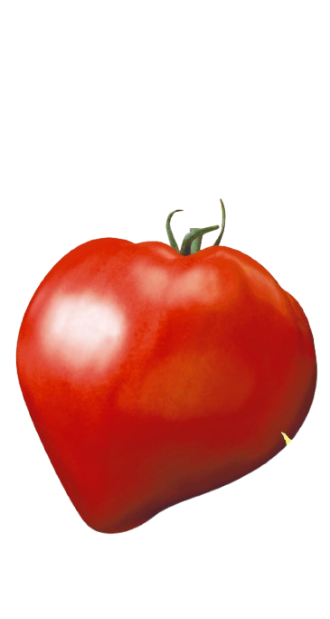 Насіння томат Будьонівка червона 0,1г