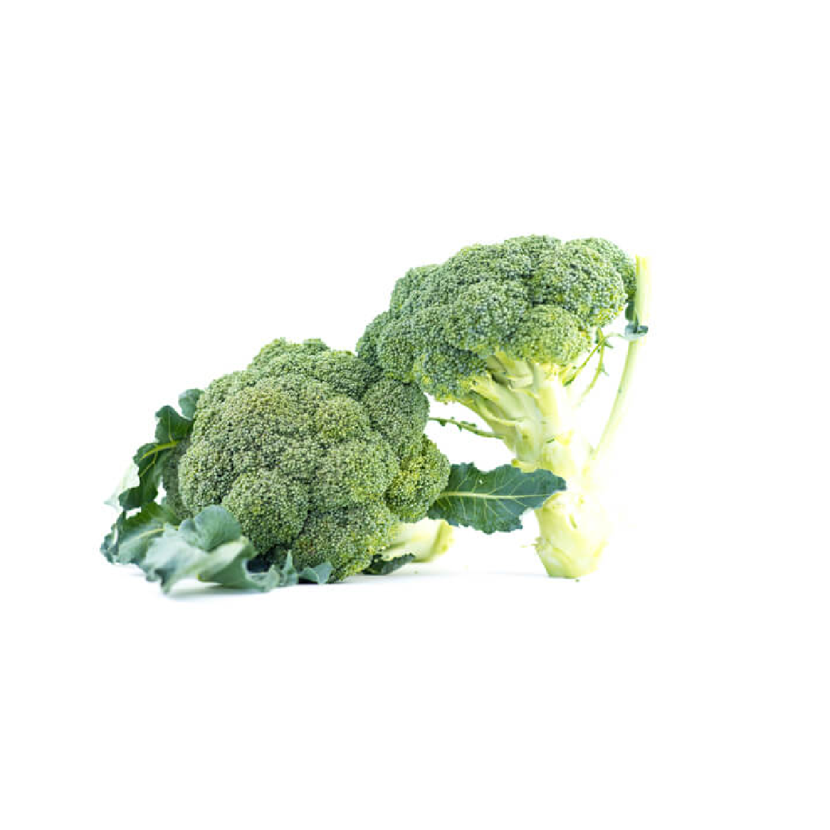 Насіння капуста брокколі Лорд Ф1 10шт