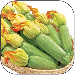 Насіння кабачок Карамболь Ф1 100шт