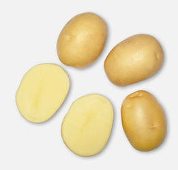 Картопля насіннєва Актриса Клас А 2,5кг Agroplant Нідерланди (вагова)