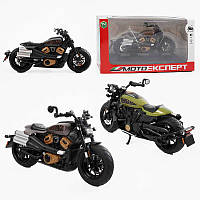 Мотоцикл BG 74-102 (48/2) "Мото Експерт", 2 кольори, металопластик, масштаб 1:12, прогумовані колеса, підсвічування, звук,