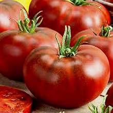 Насіння Томат детермінантний Гном Дикий Фред 15 шт. (zip)