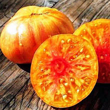 Насіння Томат детермінантний Гном Конфетті 15 шт. (zip)