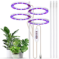 Лампа для фотосинтезу рослин з 4 світлодіодними кільцями