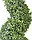 Штучна рослина “Самшит спіральний” 158 см — декоративне дерево, фото 4