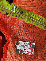 Озима цибуля саджанка Трой F-1 10-21 мм, 1 кг Голандія Броєр, фото 2