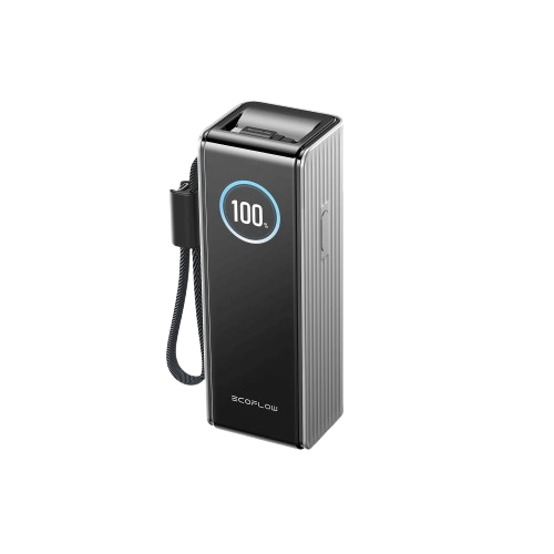 Павербанк EcoFlow RAPID Power Bank з кабелями 25000mAh сріблястий