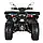Квадроцикл ACCESS AMX800UL-H10 EPS, фото 2