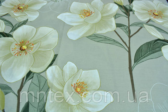 Бязь Ранфорс Кокетка, фото 1