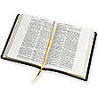 Укр. Біблія Сучасний переклад Турконяк Друге видання широкі поля (коричнева, шкірзам, без застібки, без вказівників, 18х22), фото 6