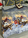 Новорічний плед із мікрофібри євро 200*230, фото 2