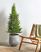 Кедр декоративний -  дерево для дому та саду 120 см - штучна рослина