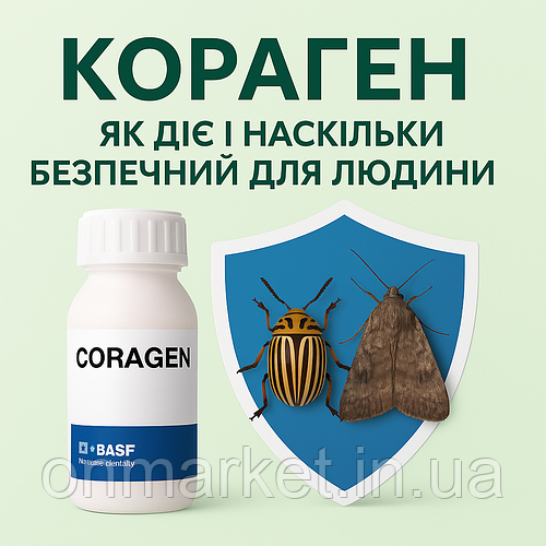 Отрута Кораген: принцип дії та безпечність для людини