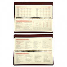 Планінг 2026р. Leo Planner 34х13см. City 252677 коричневий, фото 4