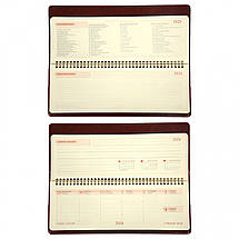 Планінг 2026р. Leo Planner 34х13см. City 252677 коричневий, фото 5