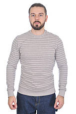 Светр чоловічий Le Gutti 25-4143-23 світло-сірий, фото 2