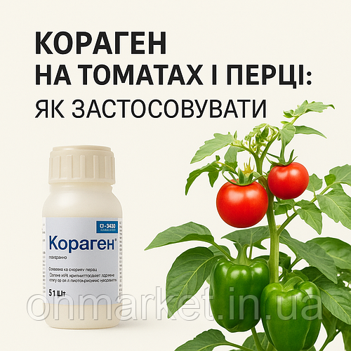 Як використовувати Кораген на томатах і перці: дозування, строки та поради