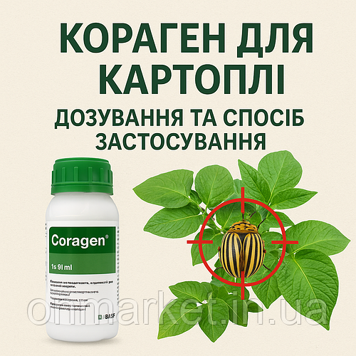 Кораген для картоплі: як правильно застосовувати препарат