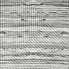 Самоклеюча декоративна 3D панель 500х500х5мм Бамбук Дерево Зебра SW-00002884