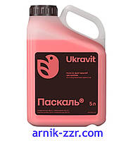 Протруйник ПАСКАЛЬ, 5 л.
