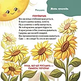 Матусина бібліотечка. Віршенята-загадки для малят. 3–5 років, фото 9