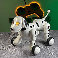 Собака на радіокеруванні “Oreo” | Песик на пульті керування | Собака-робот на радіоуправлінні, фото 5