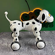 Собака на радіокеруванні “Oreo” | Песик на пульті керування | Собака-робот на радіоуправлінні, фото 2