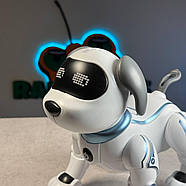 Собака на радіокеруванні “КОСМОПЕС” | Песик на пульті керування | Собака-робот на радіоуправлінні, фото 4