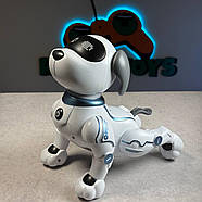 Собака на радіокеруванні “КОСМОПЕС” | Песик на пульті керування | Собака-робот на радіоуправлінні, фото 2
