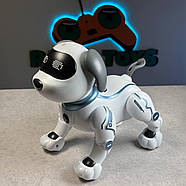 Собака на радіокеруванні “КОСМОПЕС” | Песик на пульті керування | Собака-робот на радіоуправлінні, фото 6