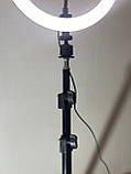 Професійна кільцева світлодіодна LED лампа (30 см.) на штативі (2м.), студійне світло для визажиста, косметолога,перукаря, фото 5