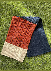 Чоловічий триколірний шарф C&A