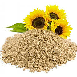 Що таке лецитин, його виробництво, види, користь та курси прийому