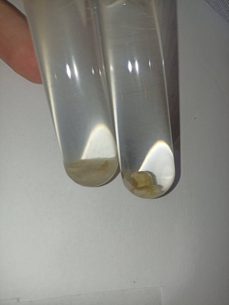 Фермент Hot Rod NSP Master для зернових браг (50 мл) - фото покупців 2