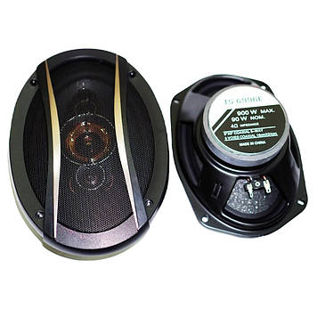 Автомобільні колонки RIAS TS-6996E овали 6x9 двосмугові 900 W (3_03597)