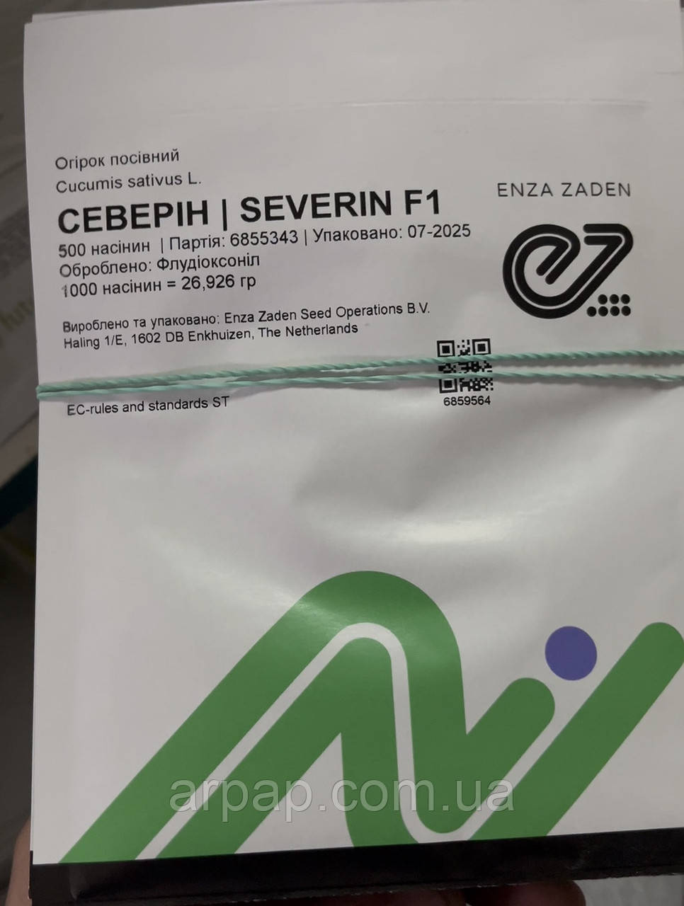 Насіння огірка Северін F1, Enza Zaden, 500, фото 1