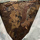 Білий чай Jingmai 2021 рік 100 грам, фото 4