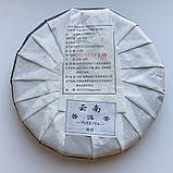 Шен Пуер Старий Баньчжанг 2017 року 357 грам, фото 3