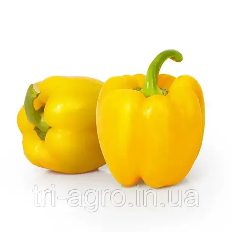 Перець Асті Єллоу 0,2г (Проф.Нас), фото 2