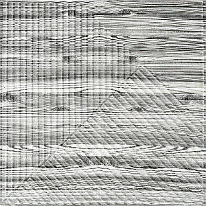 Самоклеюча декоративна 3D панель 500х500х5мм Бамбук Дерево Зебра SW-00002884