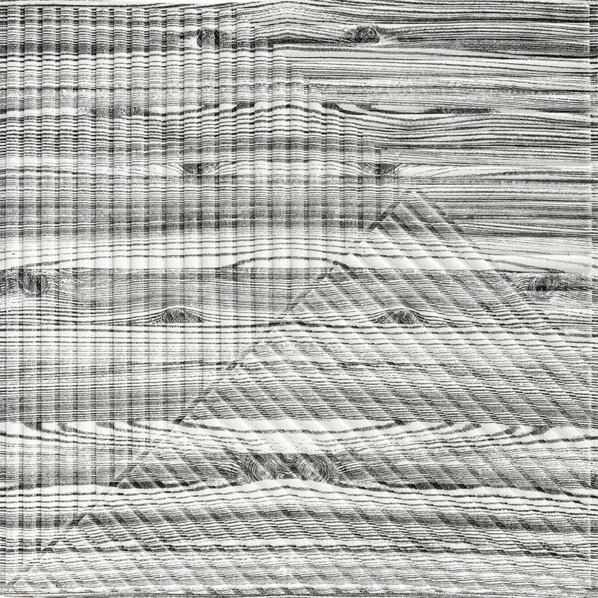 Самоклеюча декоративна 3D панель 500х500х5мм Бамбук Дерево Зебра SW-00002884, фото 1