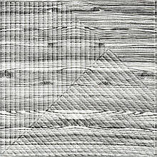 Самоклеюча декоративна 3D панель 500х500х5мм Бамбук Дерево Зебра SW-00002884