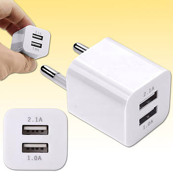 Зарядний пристрій 220 В на 2 входи